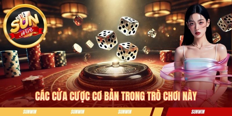 Các cửa cược cơ bản trong trò chơi này